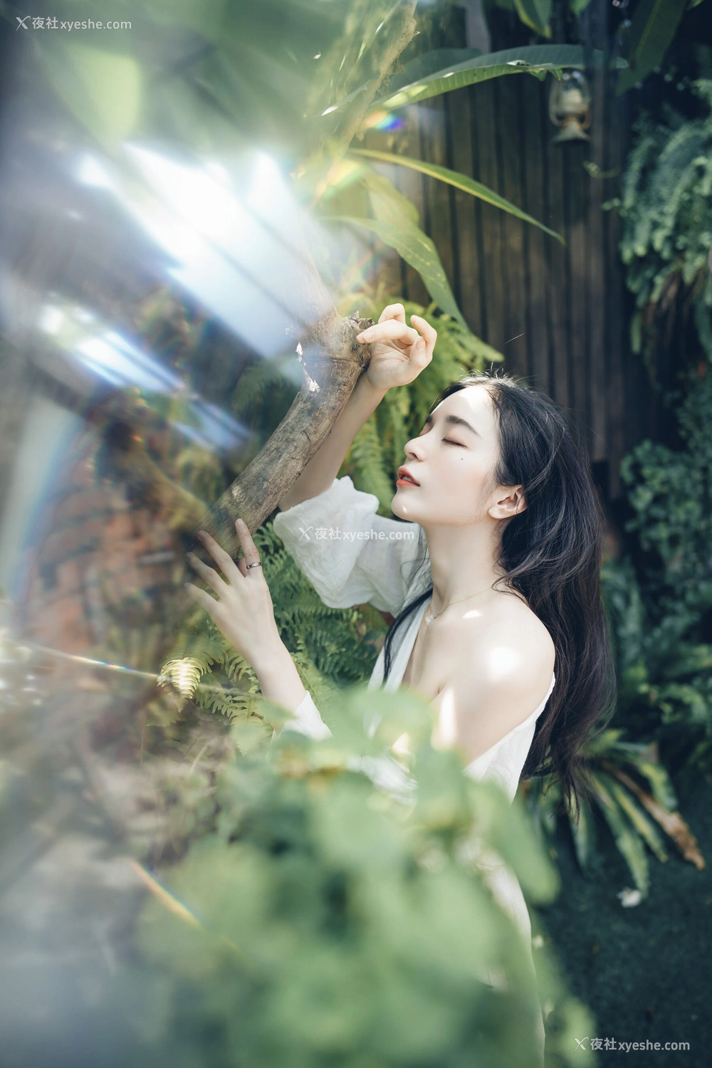 1P - 辰辰《生日特集》