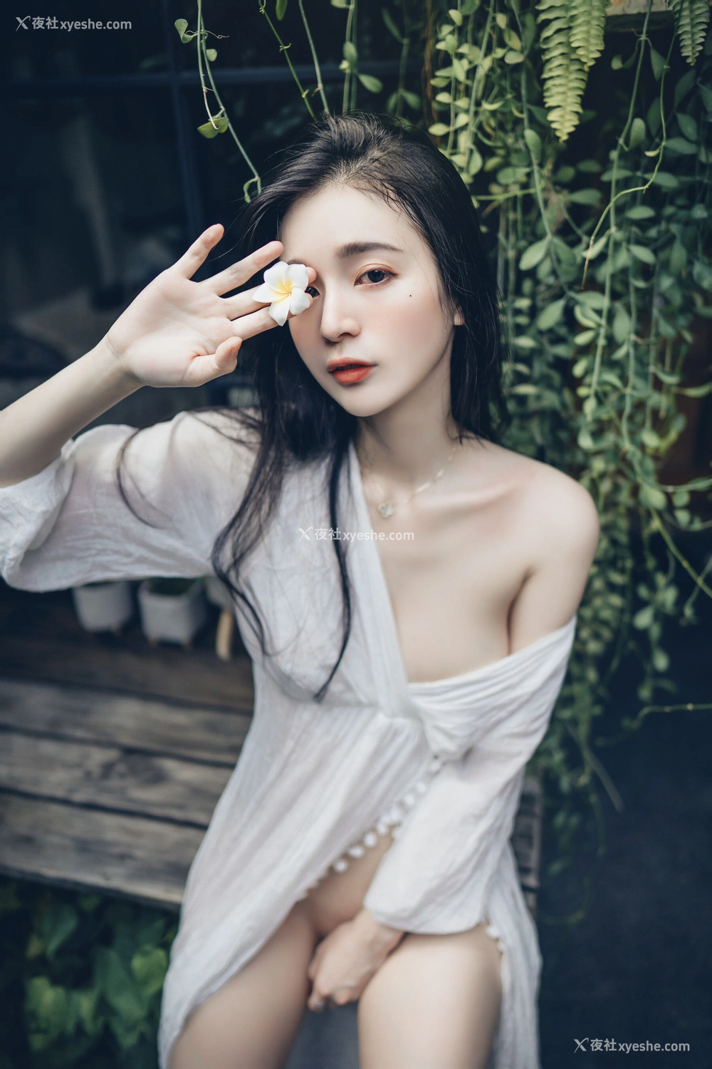 1P - 辰辰《生日特集》