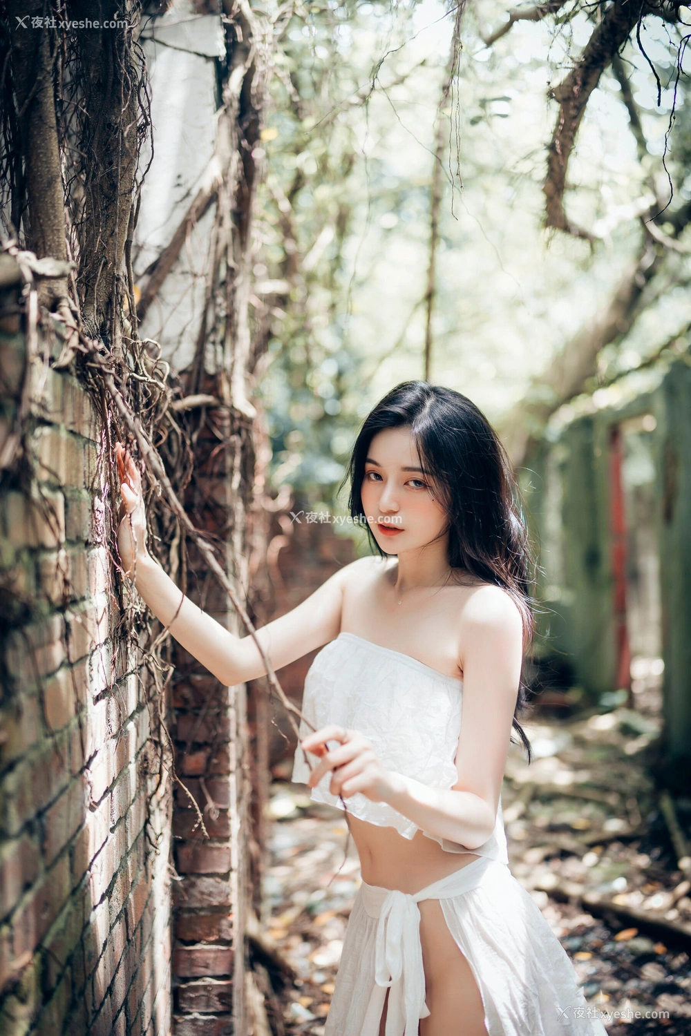 1P - 辰辰《生日特集》
