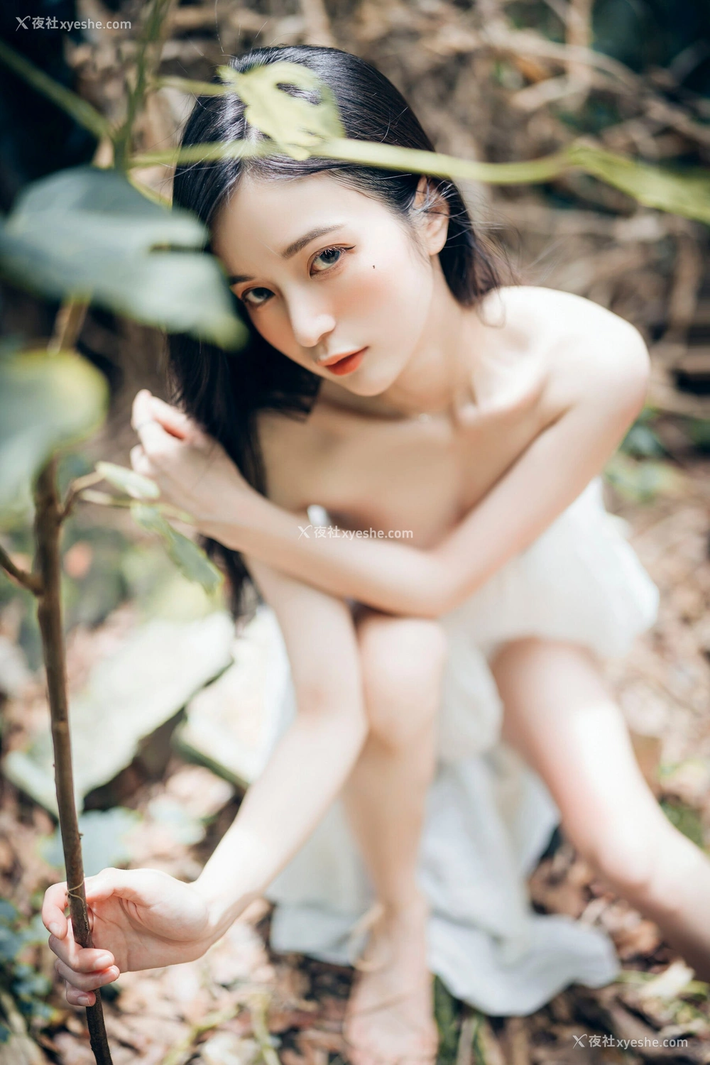 1P - 辰辰《生日特集》