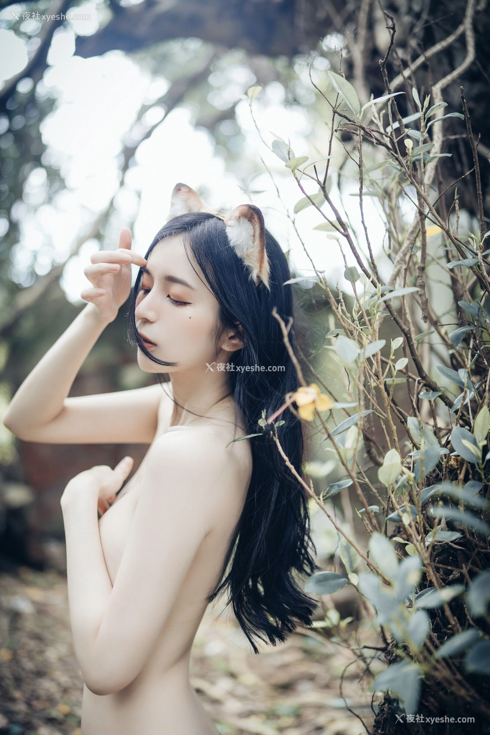 1P - 辰辰《生日特集》