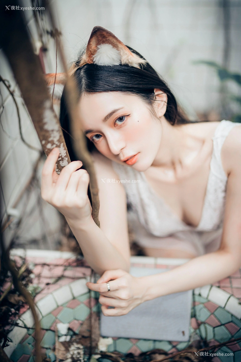 1P - 辰辰《生日特集》