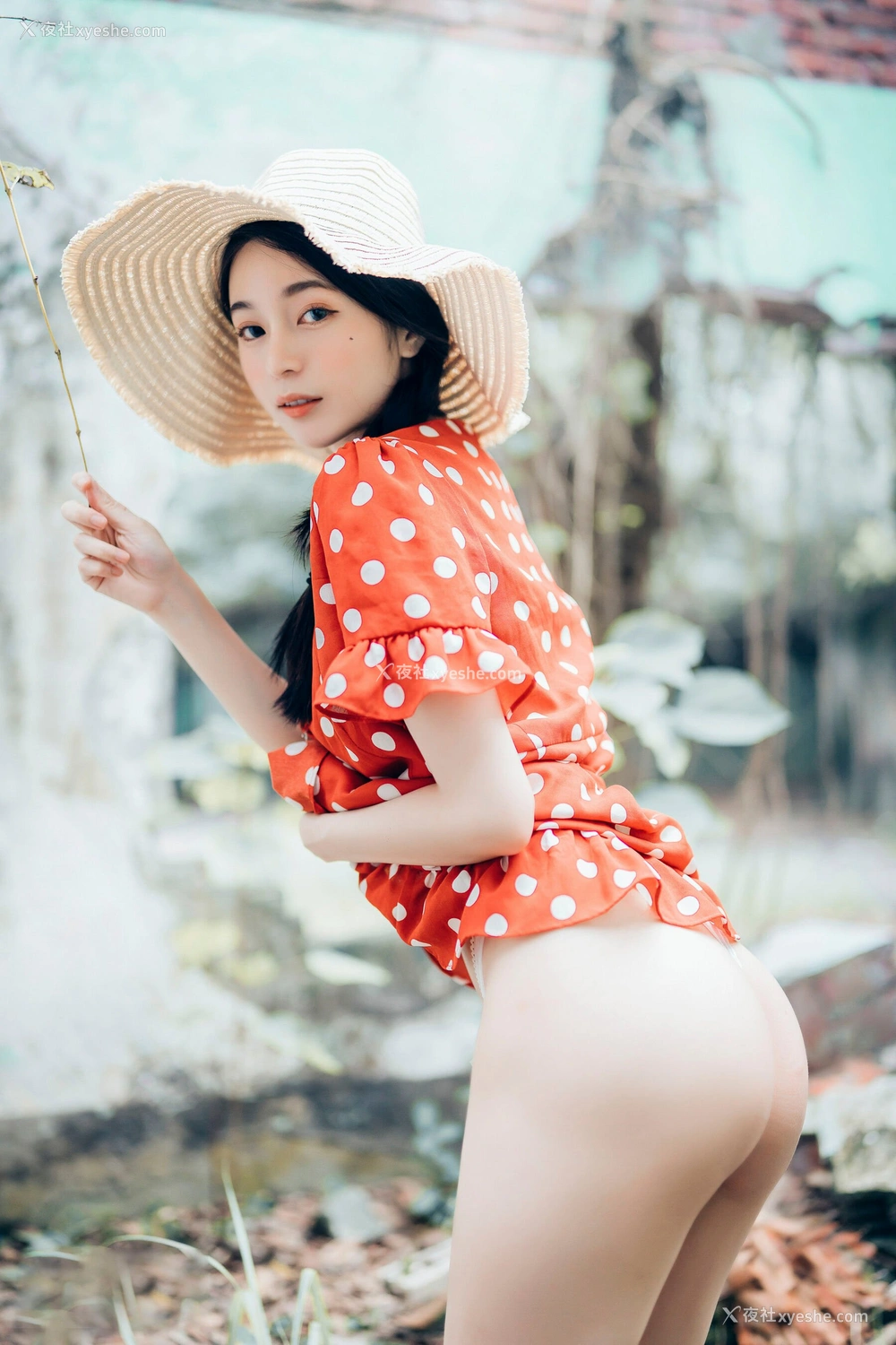 1P - 辰辰《单人5》