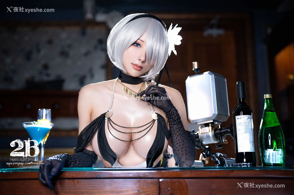 1P - Hane Ame 雨波写真 – Nier 2B Gown