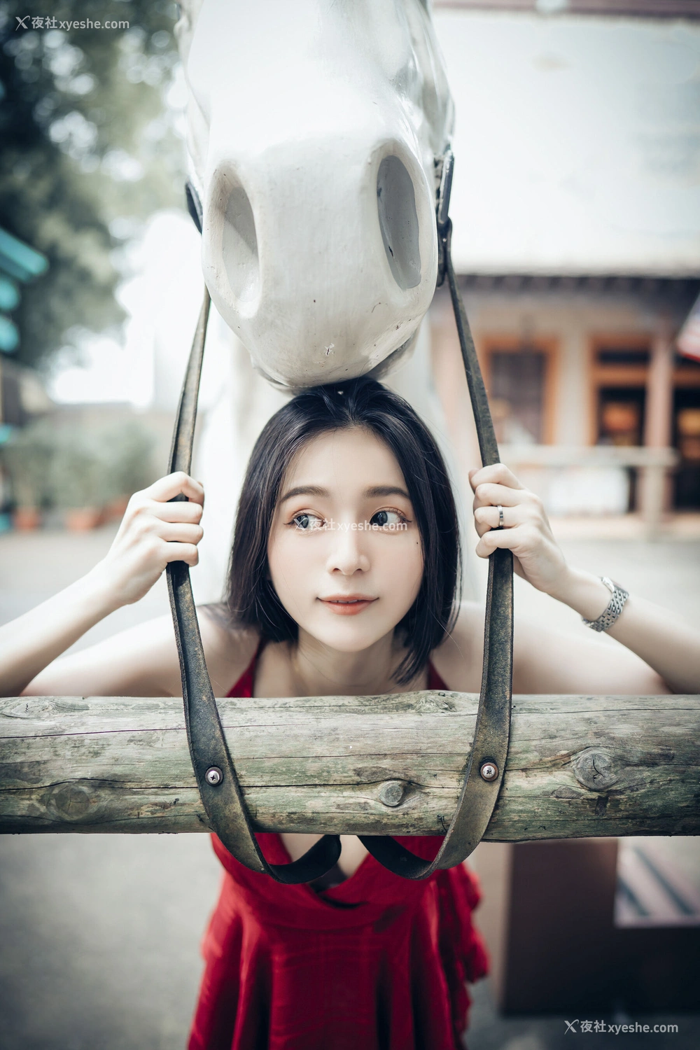 1P - 辰辰《生日特集2》