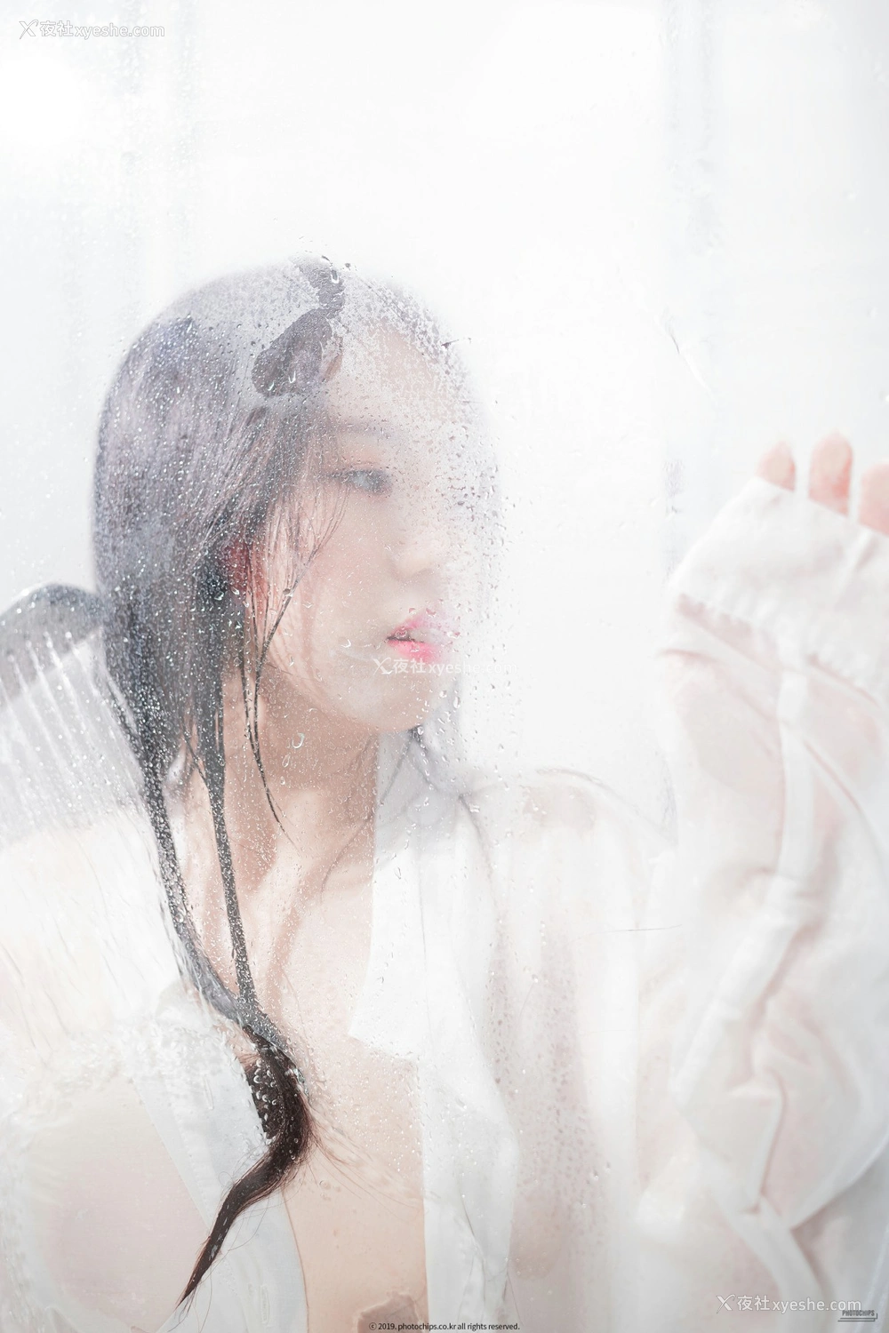 1P - PhotoChips VOL.64 Dami