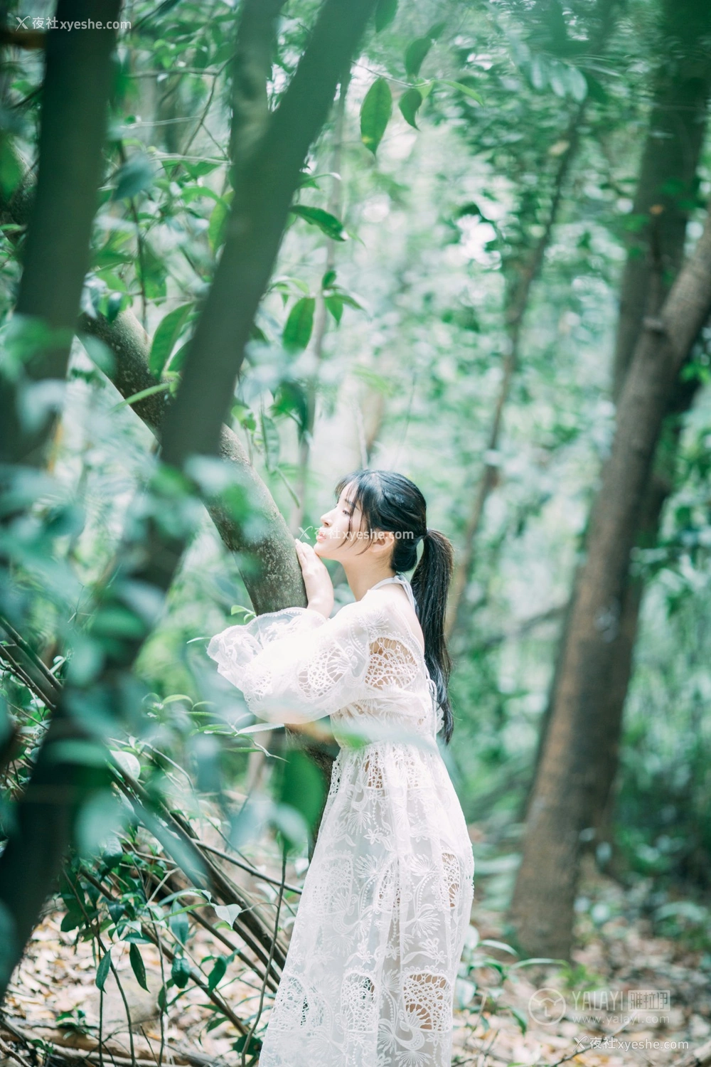 1P - [YALAYI雅拉伊] Y194 阿惜《仙乐飘飘》