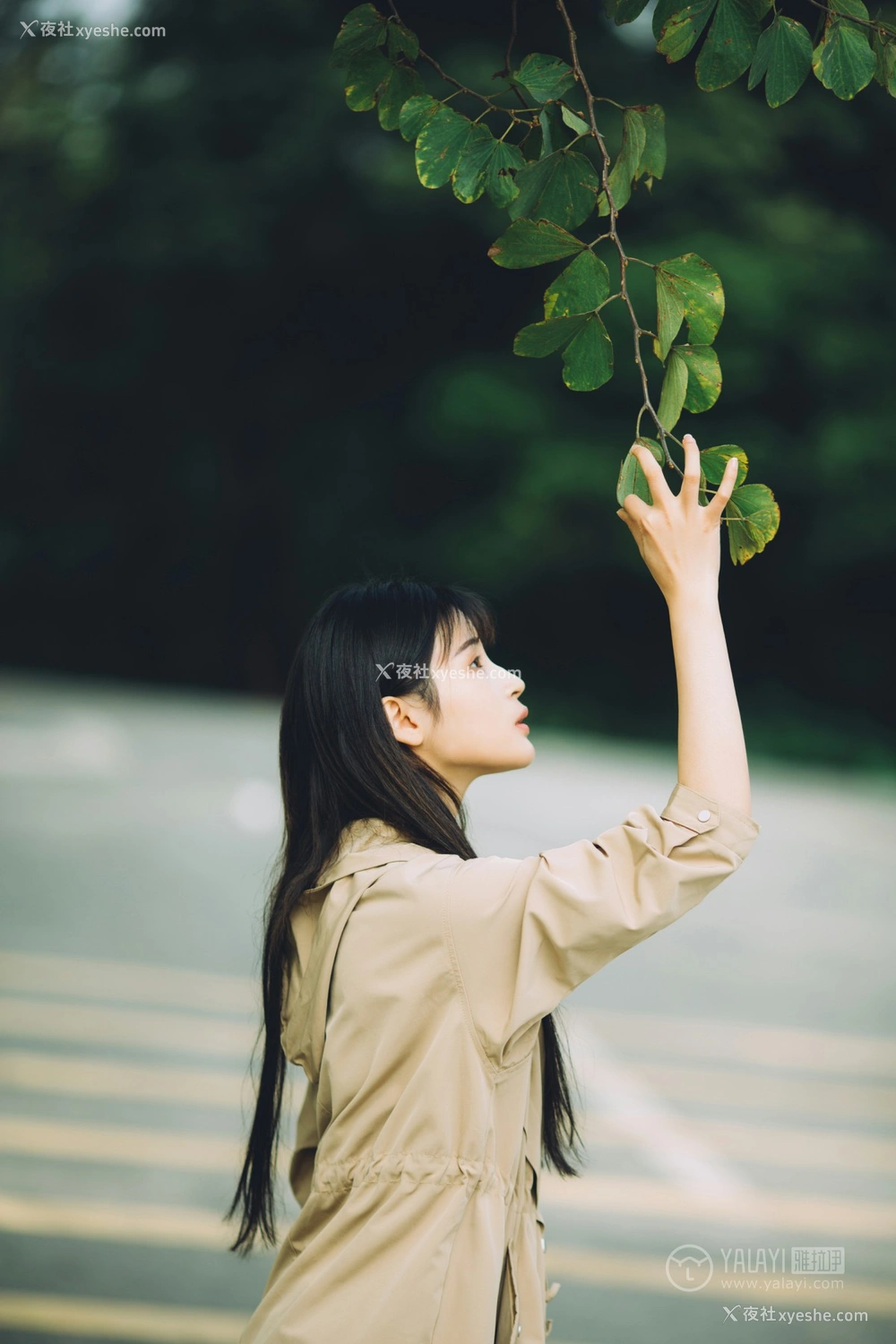 1P - [YALAYI雅拉伊] Y179 阿惜《焦糖色少女》