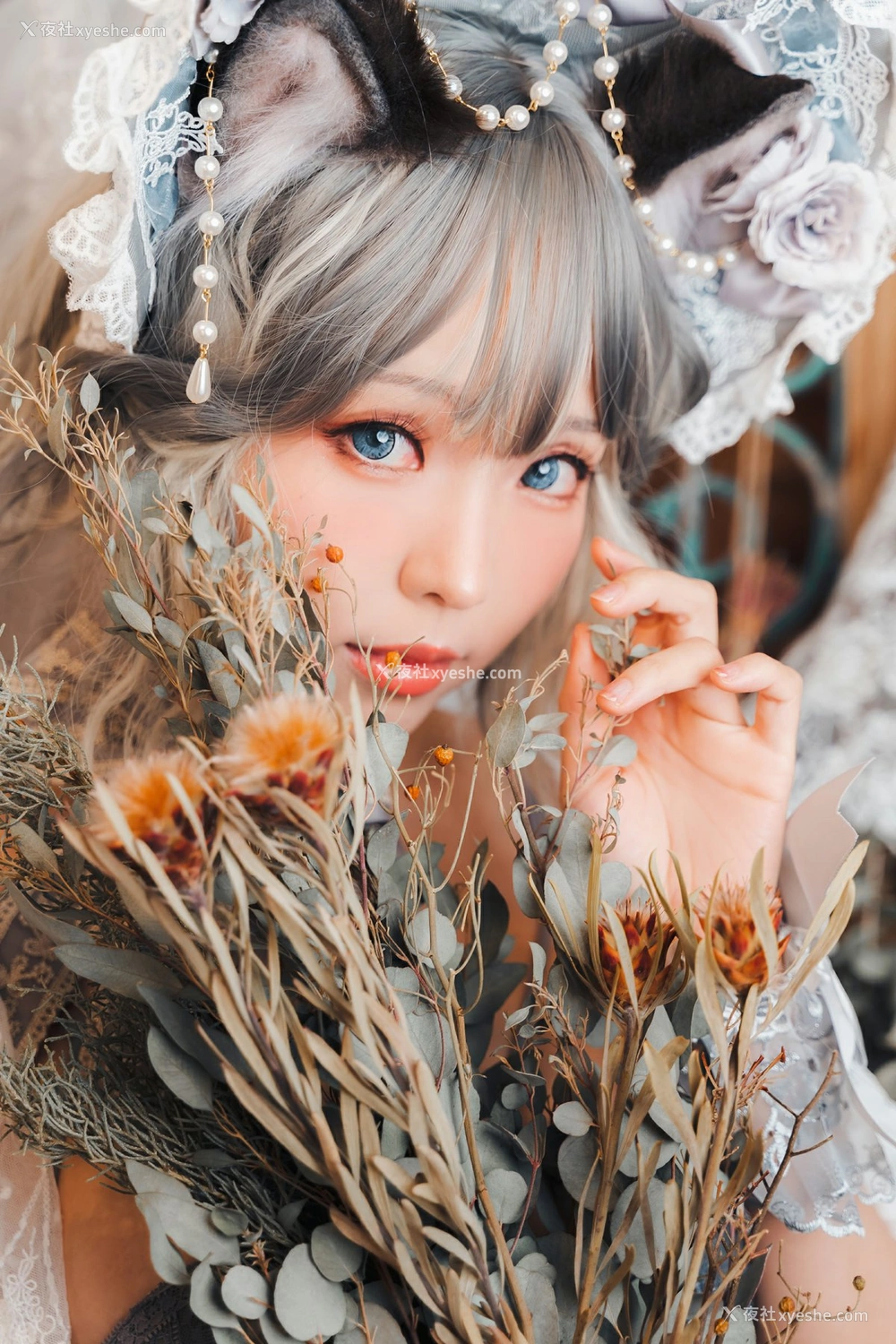 1P - ElyEE子 – 布偶貓少女人形
