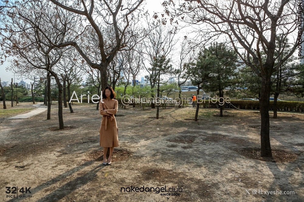 1P - Ariel《红领巾桥》