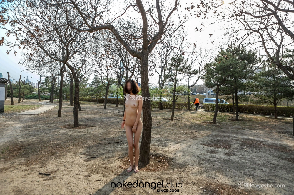 1P - Ariel《红领巾桥》
