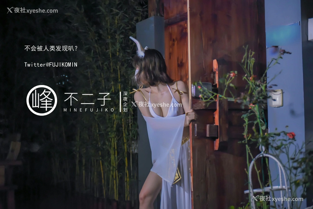 1P - 仙女玉兔