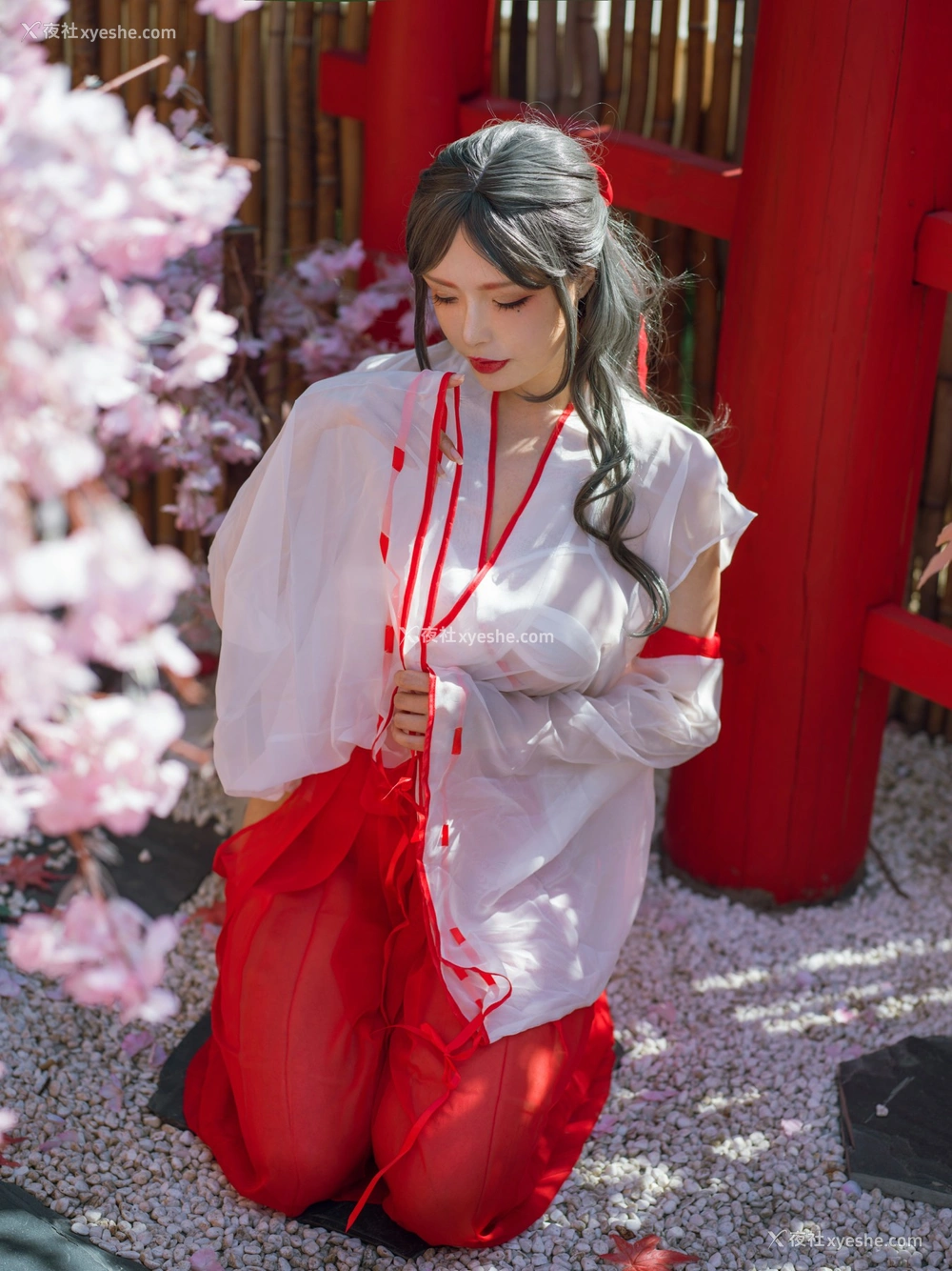 1P - 秋和柯基(夏小秋秋秋) – 汤池巫女