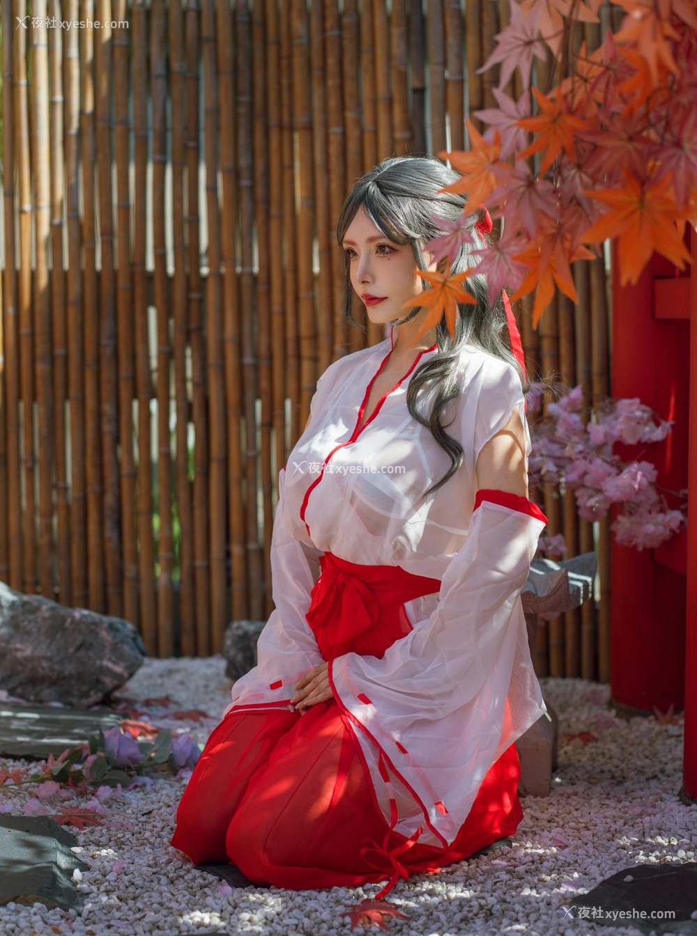 1P - 秋和柯基(夏小秋秋秋) – 汤池巫女
