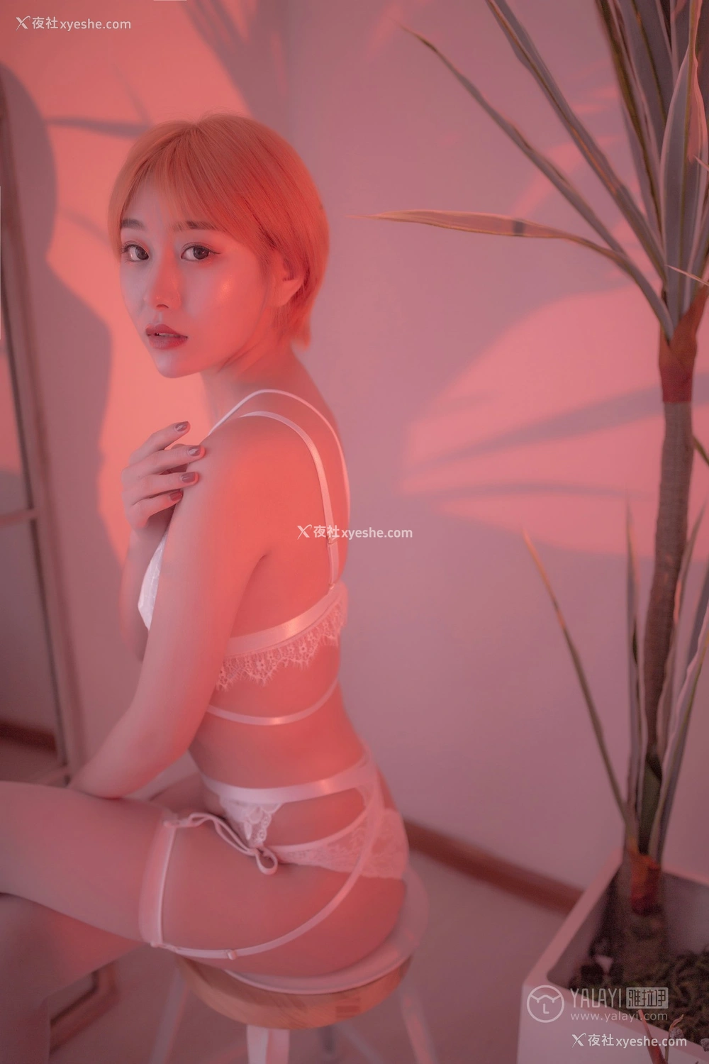 1P - [YALAYI雅拉伊] Y162 静静《轻奢主义》