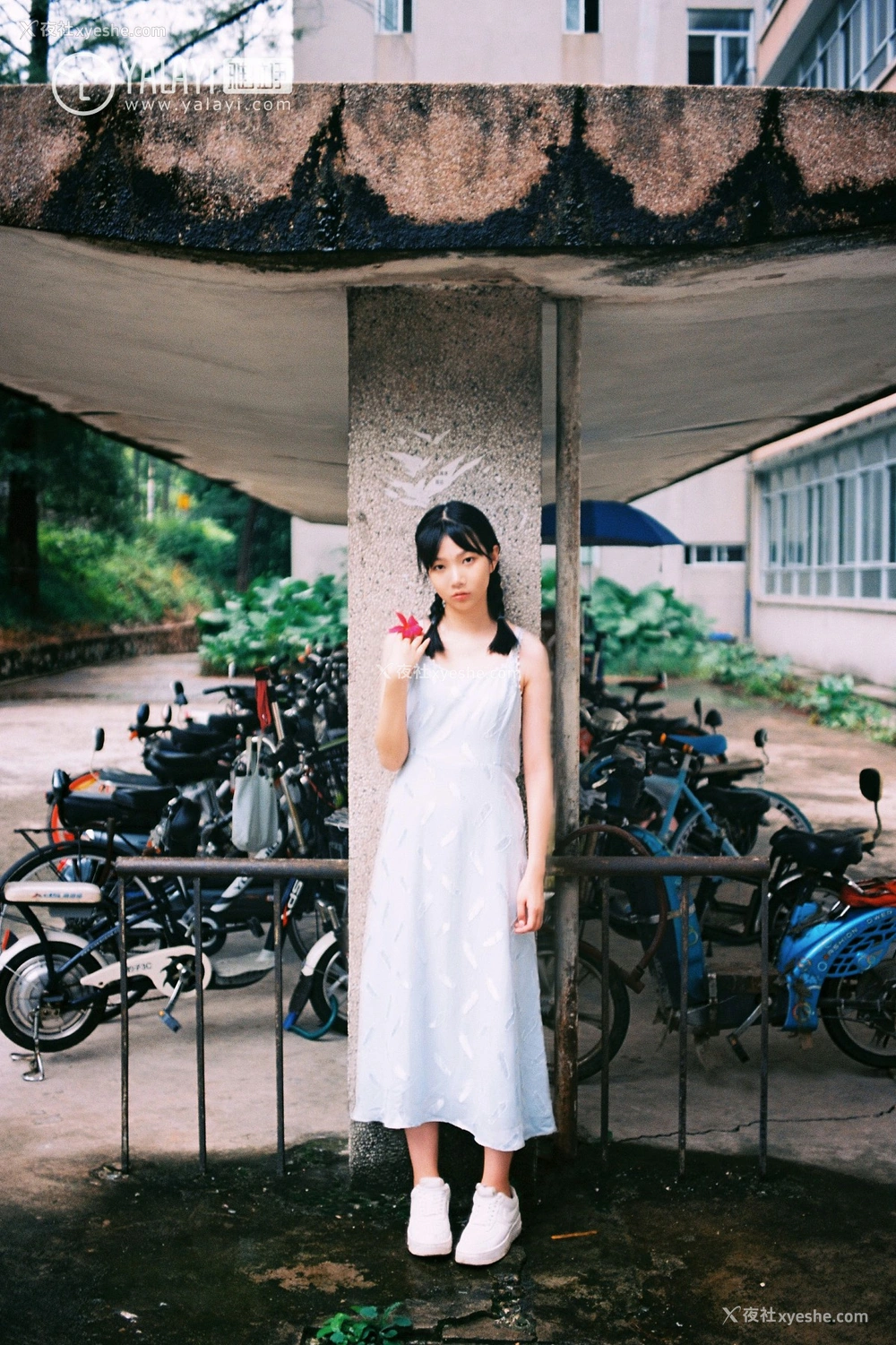 1P - [YALAYI雅拉伊] No.082 绿喜青花 Doubleyu