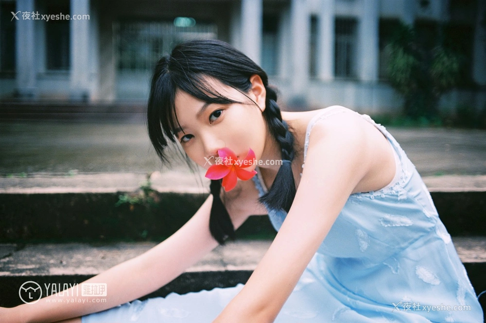 1P - [YALAYI雅拉伊] No.082 绿喜青花 Doubleyu