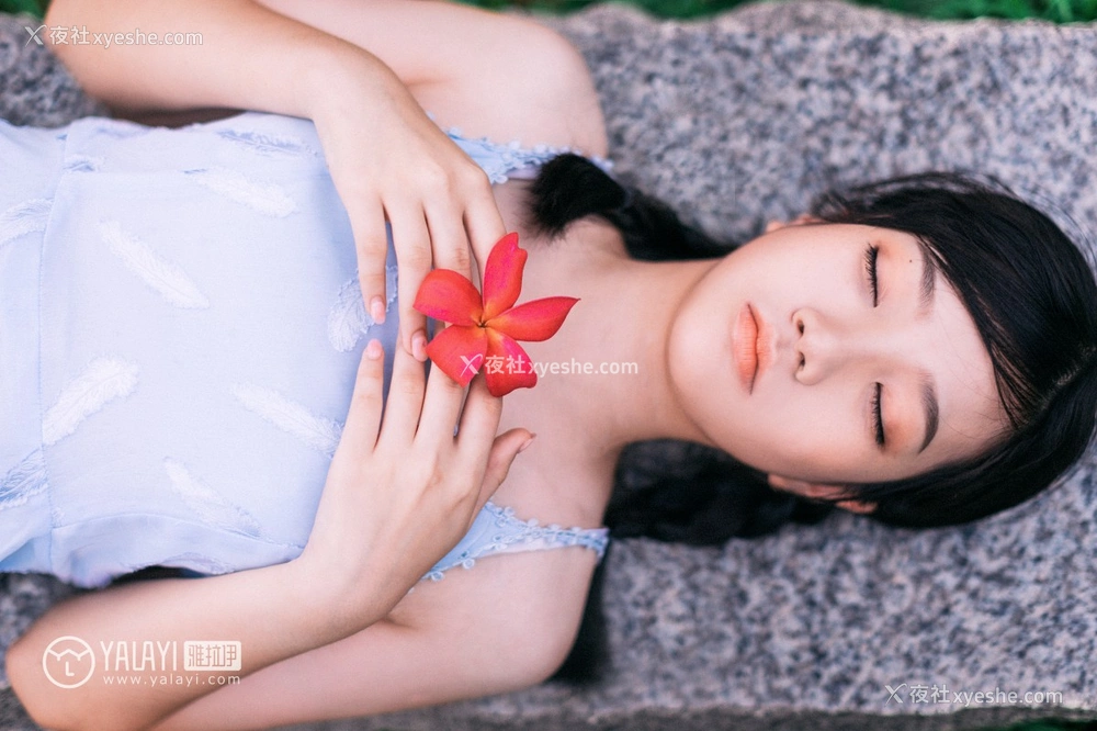 1P - [YALAYI雅拉伊] No.082 绿喜青花 Doubleyu
