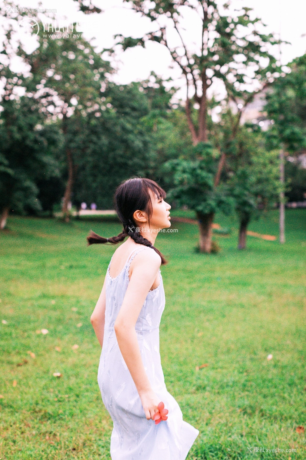1P - [YALAYI雅拉伊] No.082 绿喜青花 Doubleyu