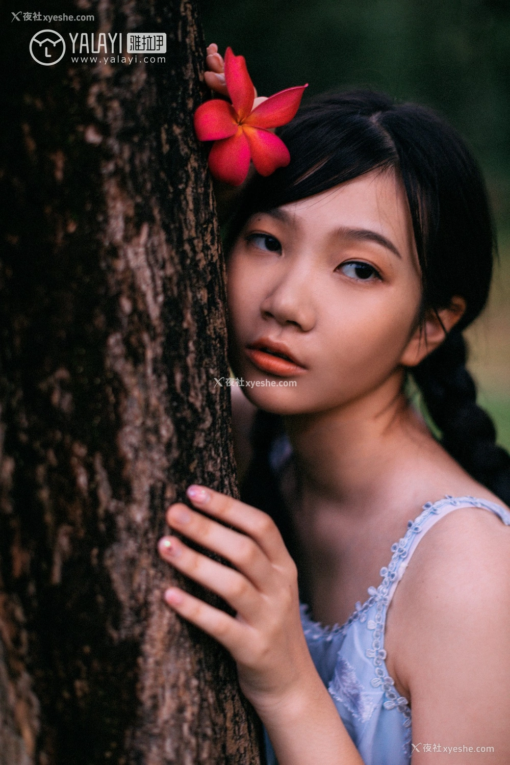 1P - [YALAYI雅拉伊] No.082 绿喜青花 Doubleyu