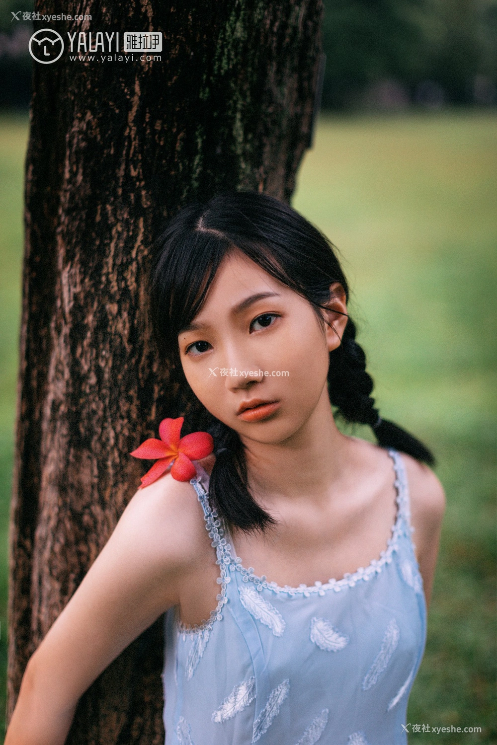 1P - [YALAYI雅拉伊] No.082 绿喜青花 Doubleyu