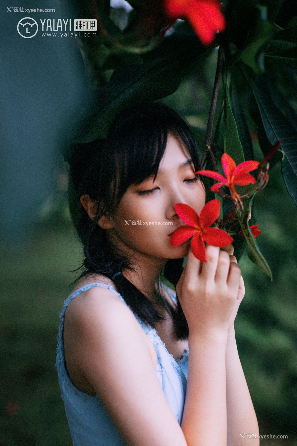 1P - [YALAYI雅拉伊] No.082 绿喜青花 Doubleyu