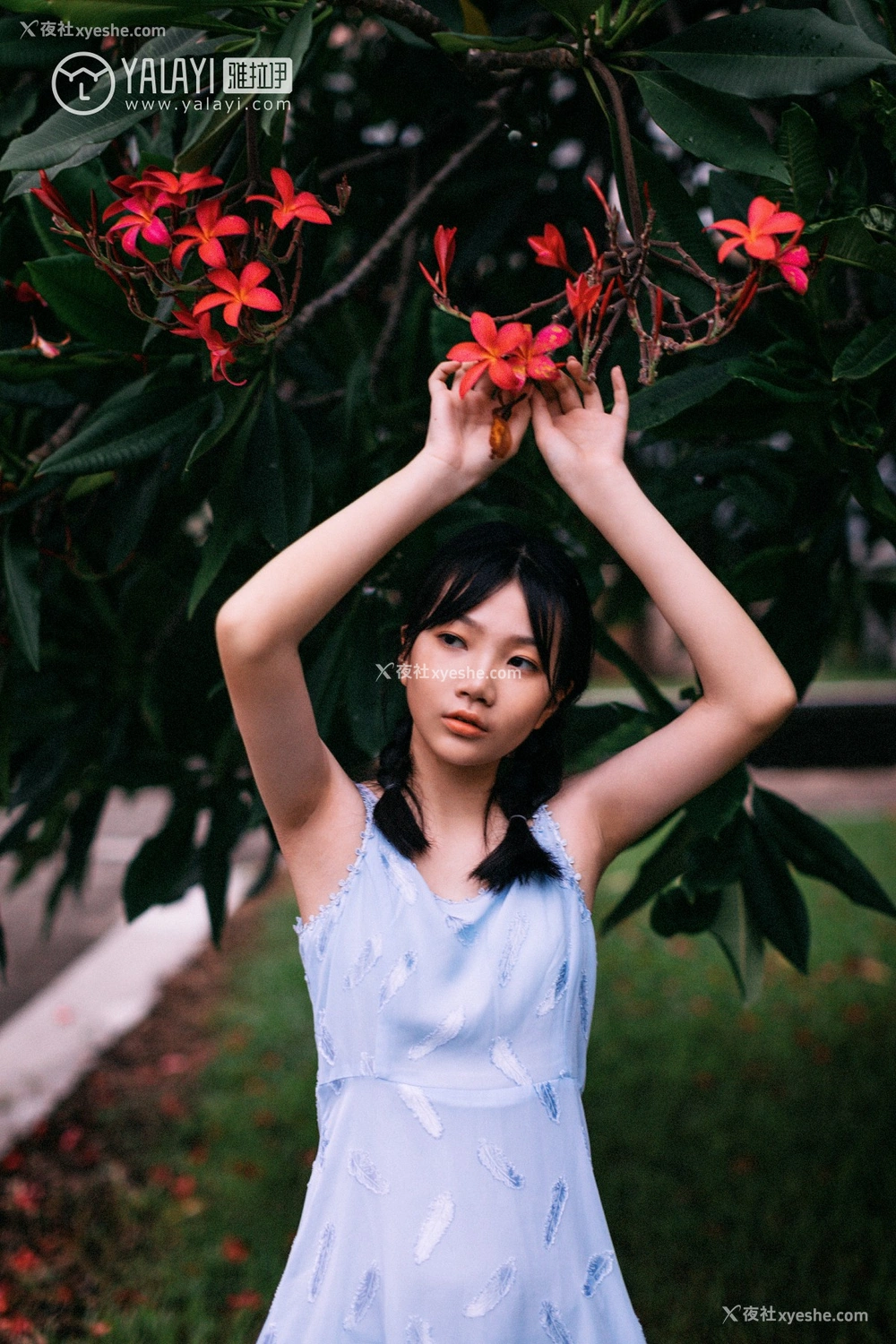 1P - [YALAYI雅拉伊] No.082 绿喜青花 Doubleyu
