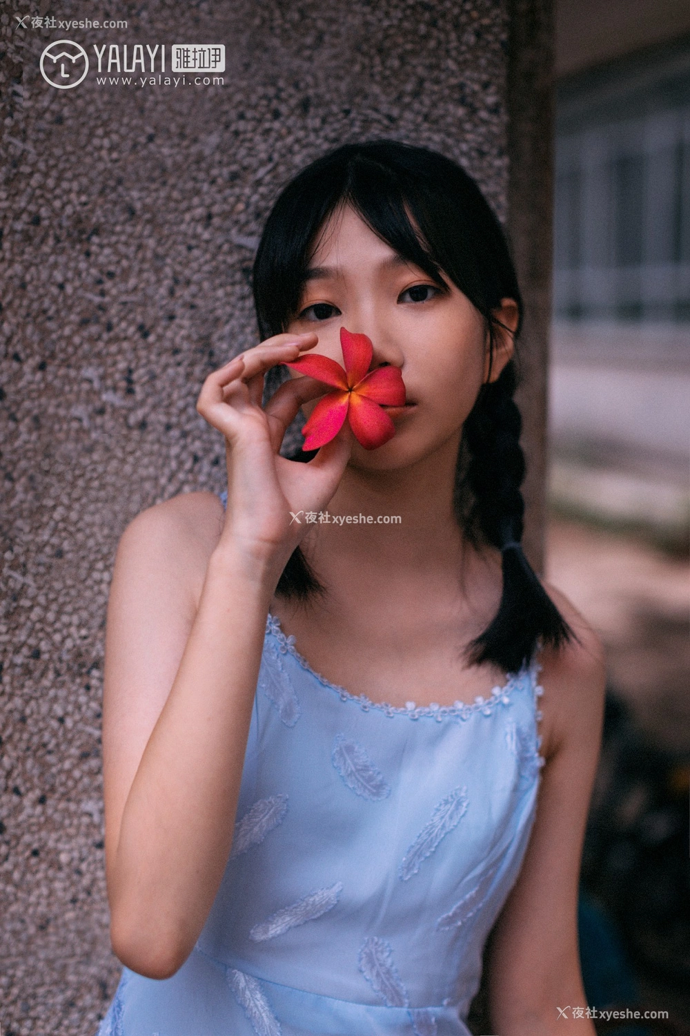 1P - [YALAYI雅拉伊] No.082 绿喜青花 Doubleyu