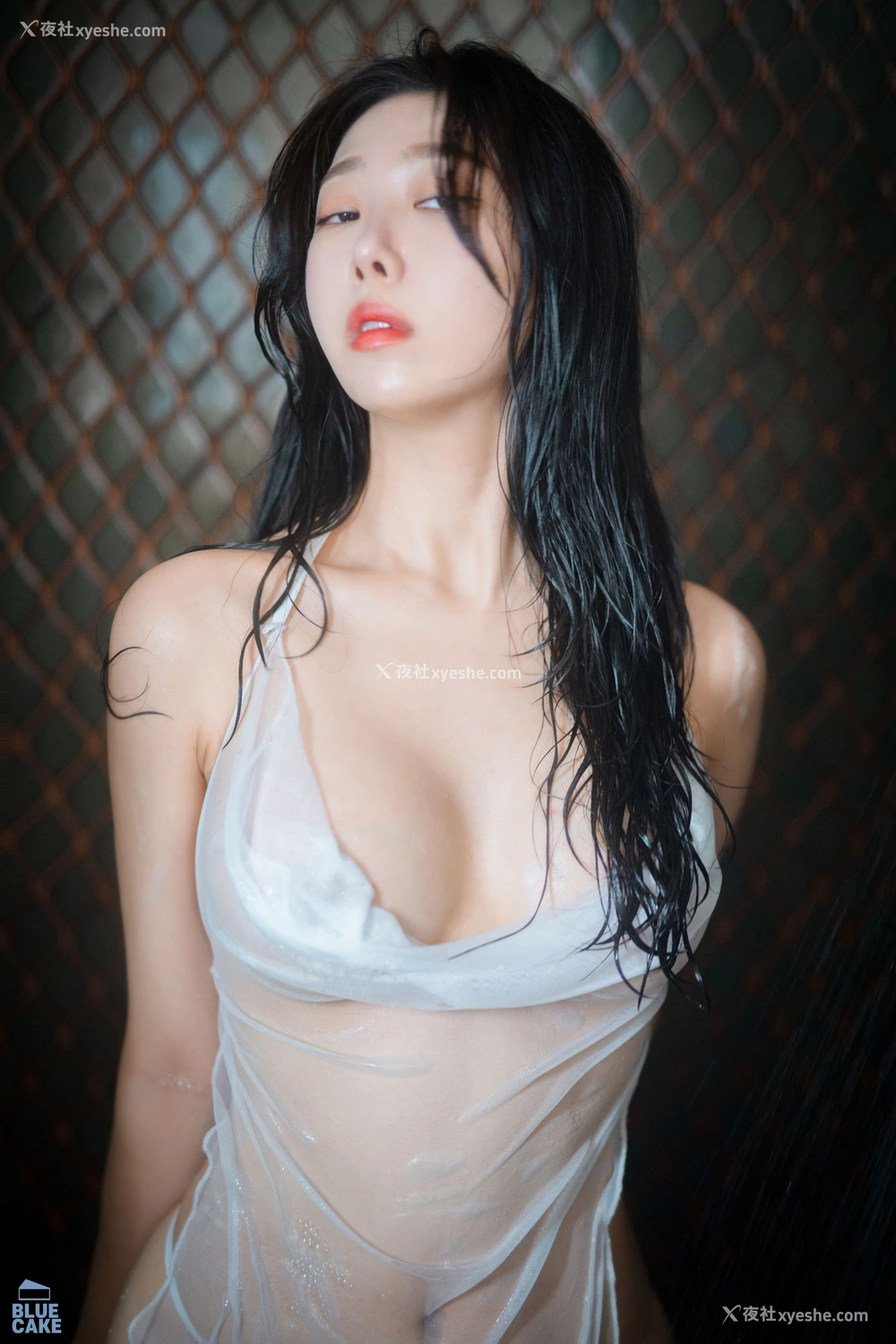1P - [BLUECAKE] Shaany – Wet