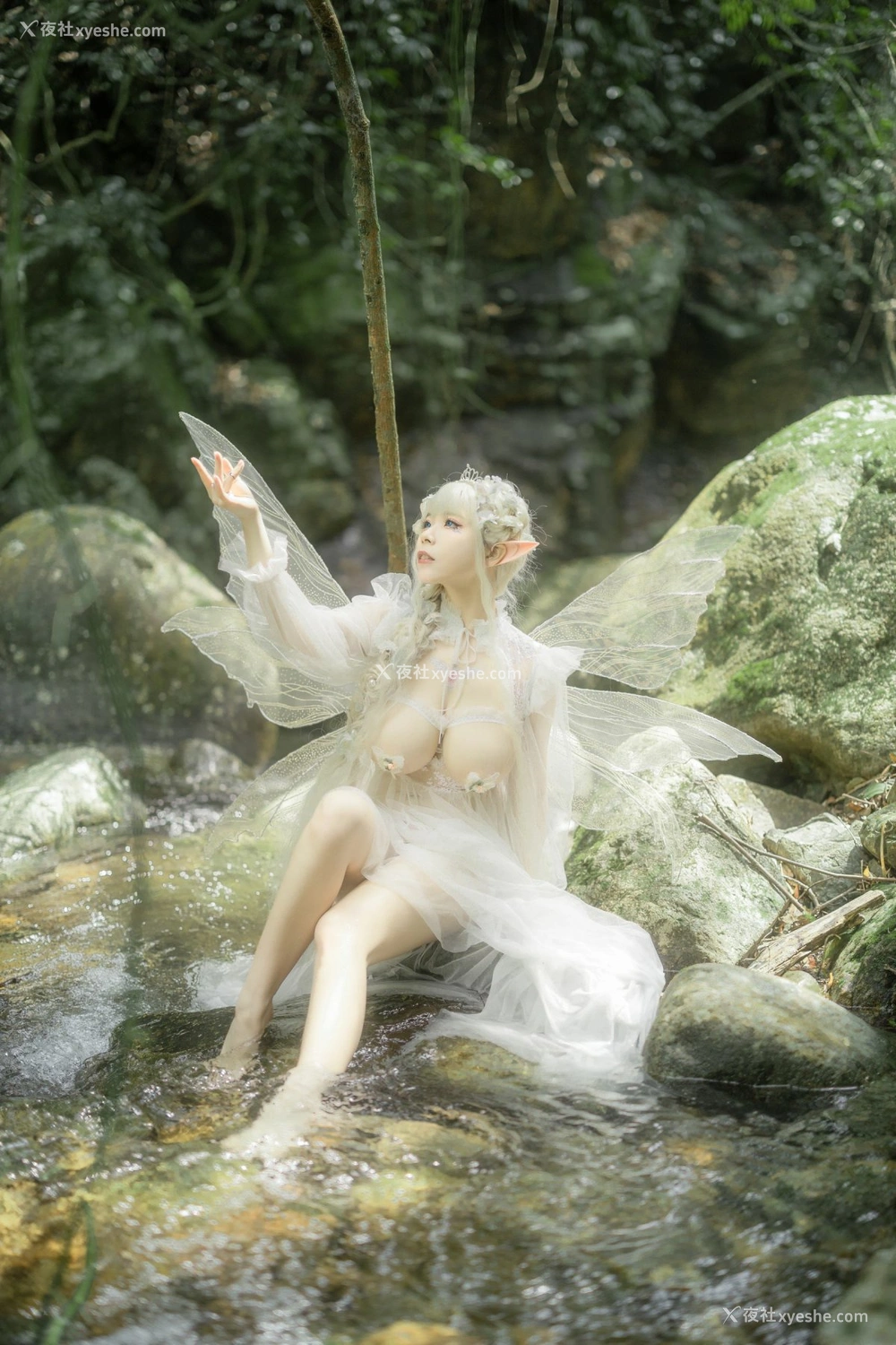 1P - 自闭颜球球(无颜小天使wy) – 林中精灵