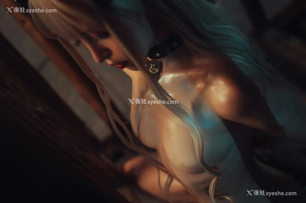 1P - 晕崽Zz – 惩戒魅魔