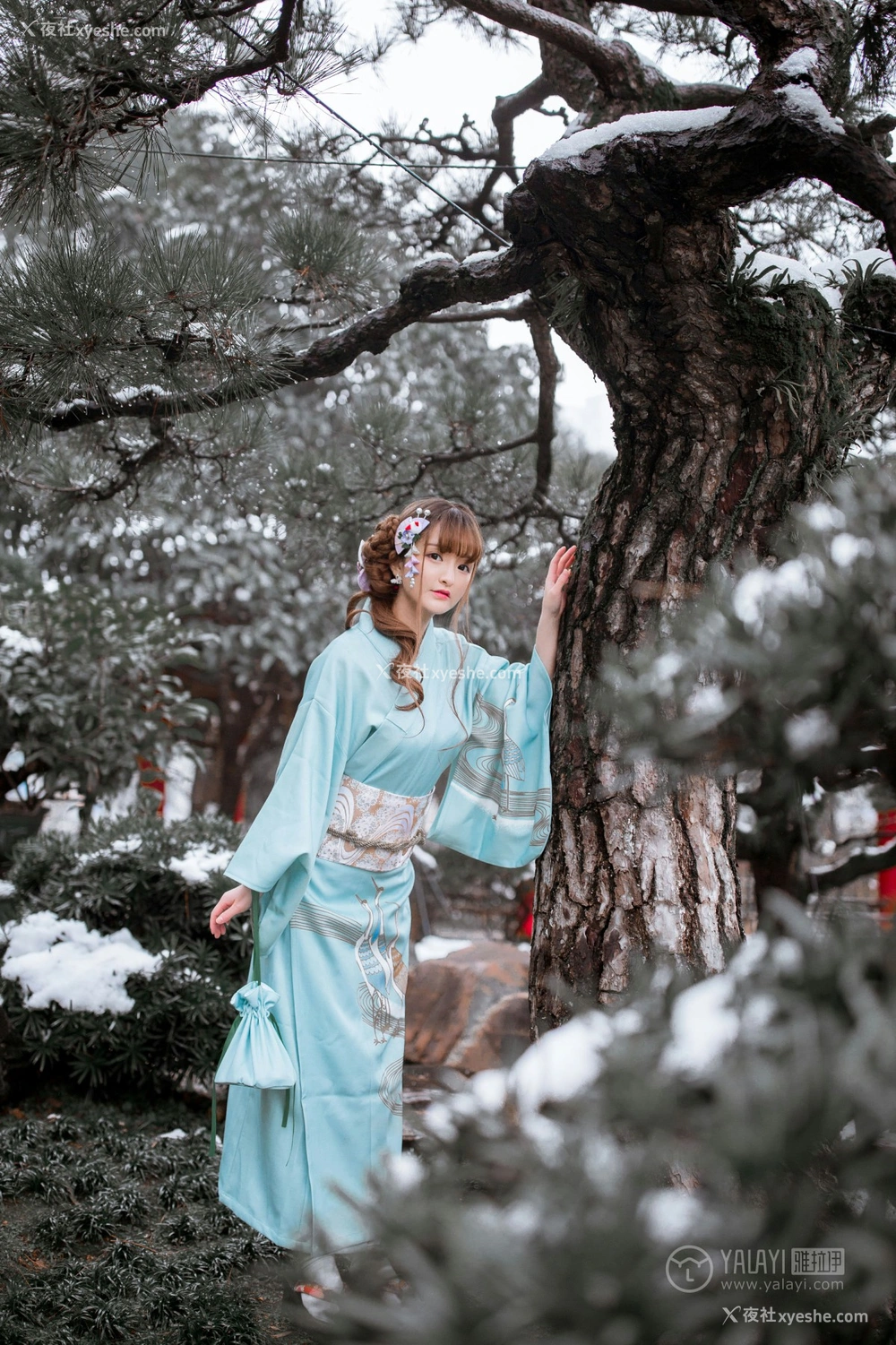 1P - [YALAYI雅拉伊] Y192 团团 赏雪