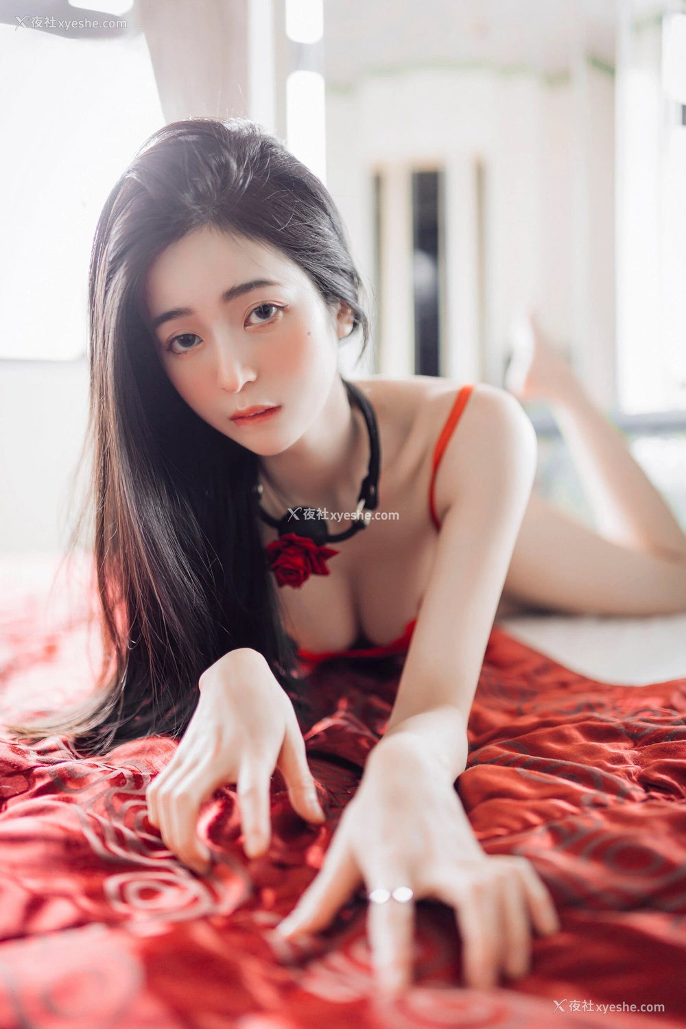 1P - 辰辰《单人8》