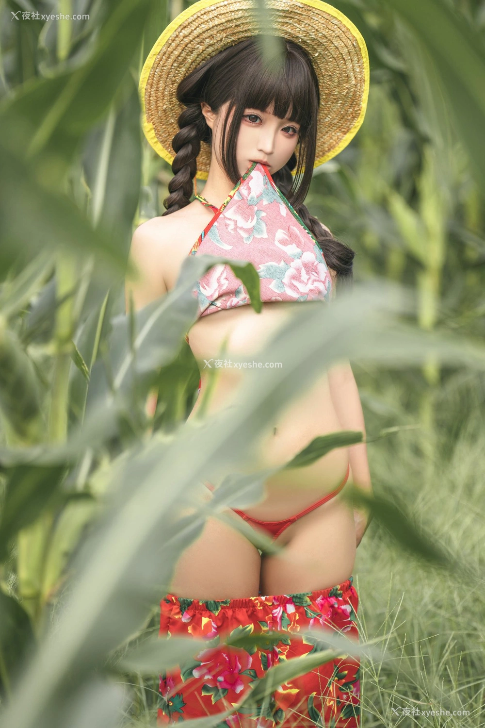1P - 蠢沫沫 – 苞米地的故事