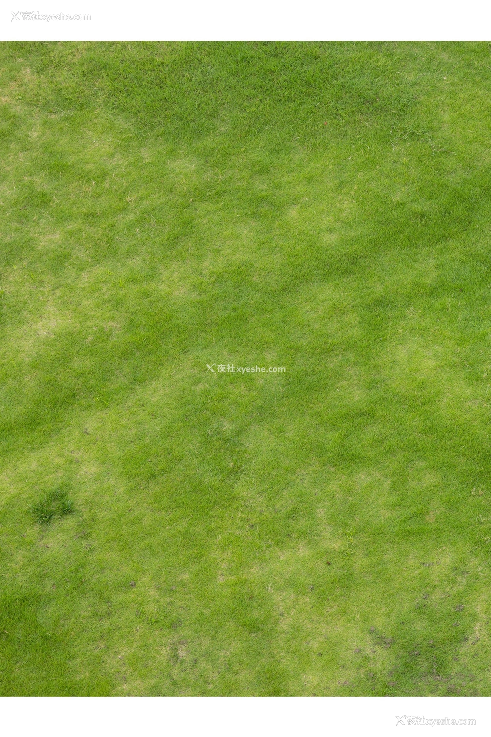 1P - 泷本雫叶《Naturally Another Cut》