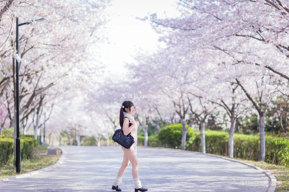 1P - 六味帝皇酱 – 樱花女友