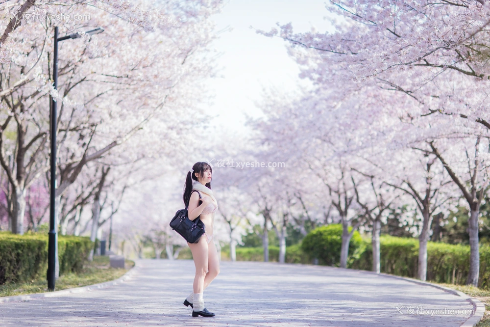 1P - 六味帝皇酱 – 樱花女友