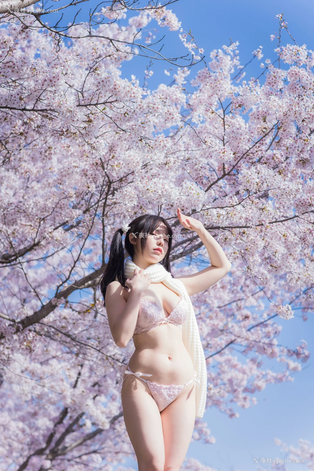 1P - 六味帝皇酱 – 樱花女友