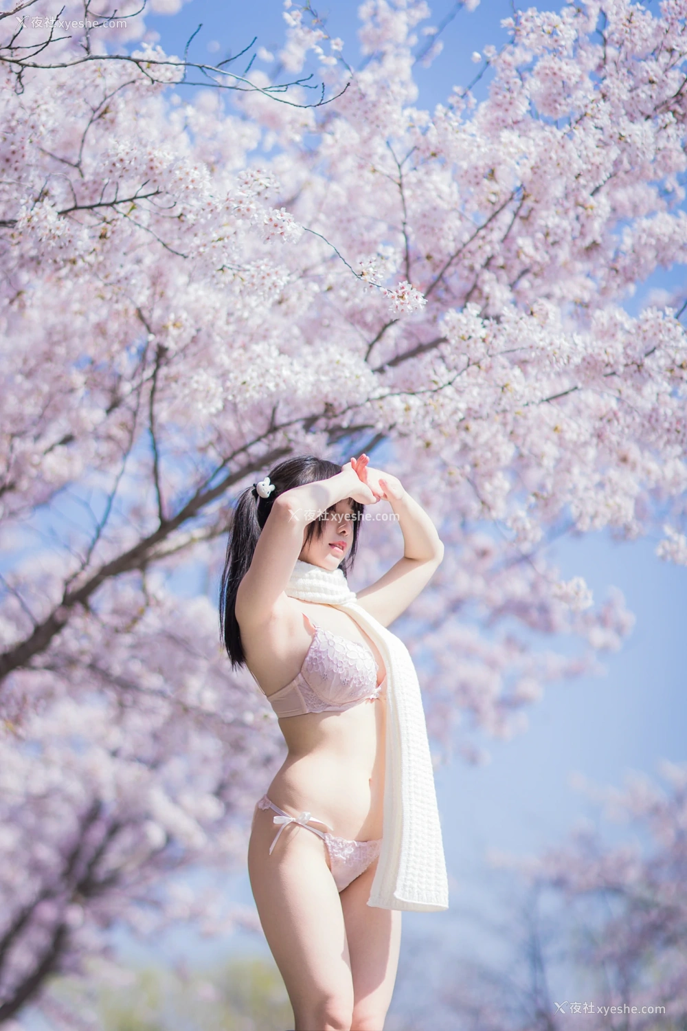 1P - 六味帝皇酱 – 樱花女友