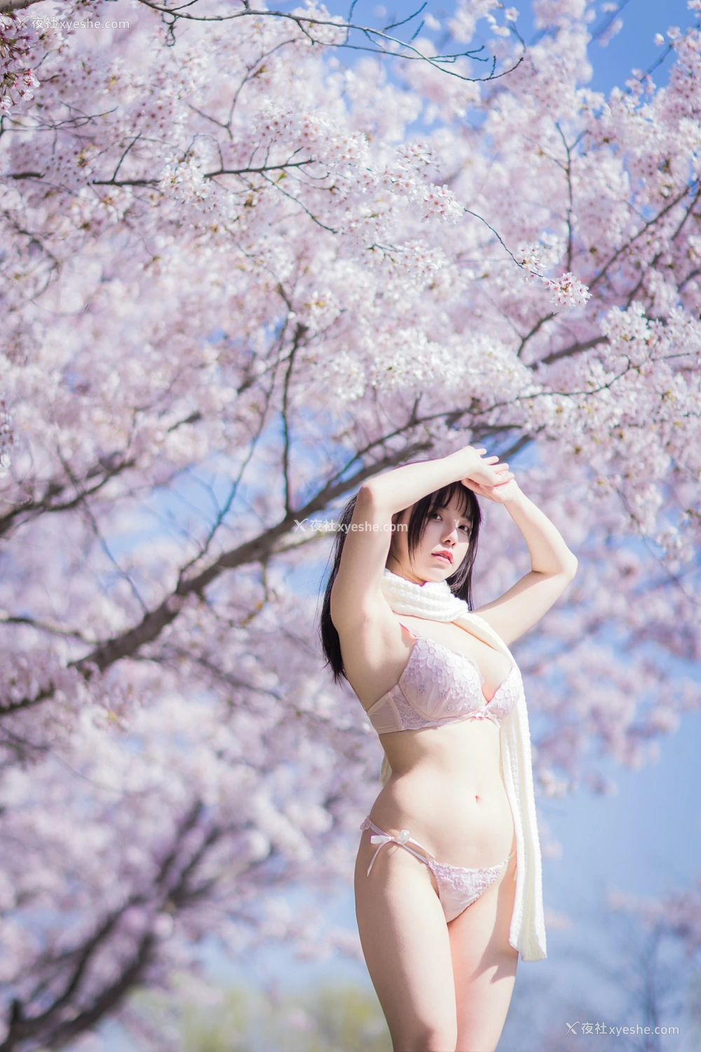 1P - 六味帝皇酱 – 樱花女友