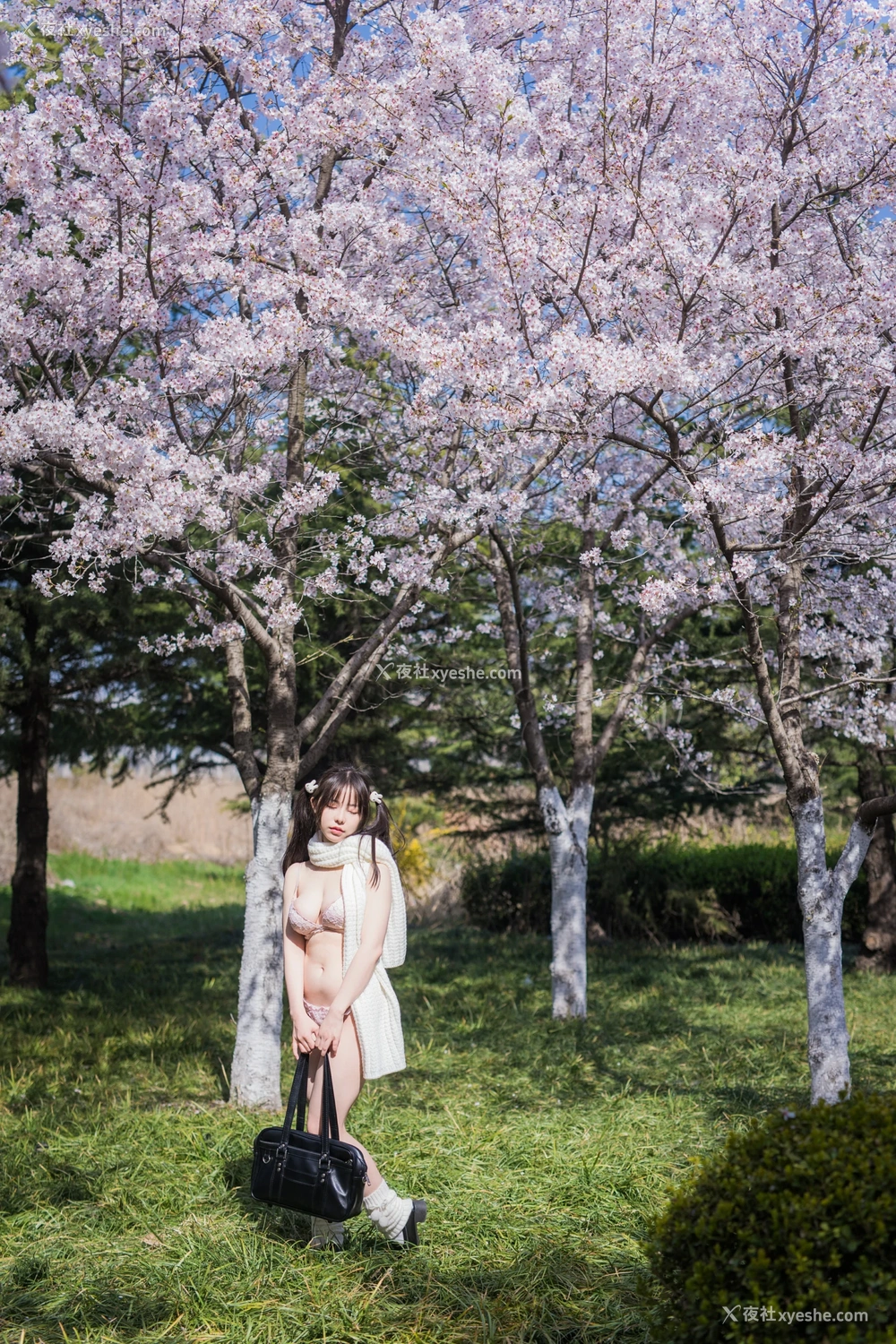 1P - 六味帝皇酱 – 樱花女友
