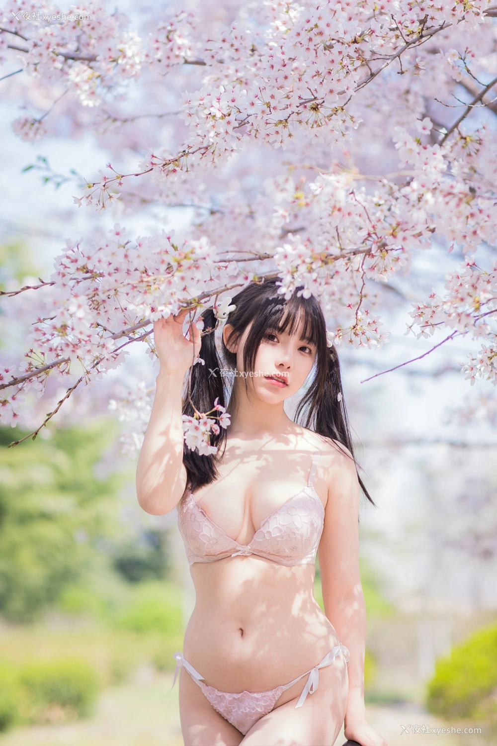 1P - 六味帝皇酱 – 樱花女友