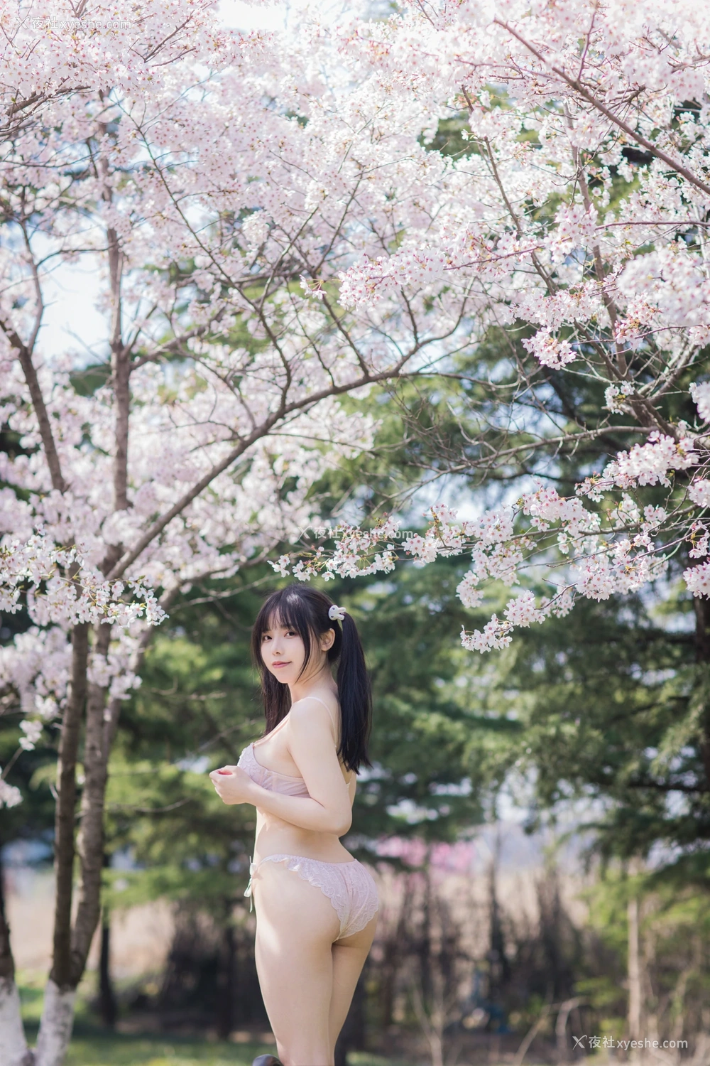 1P - 六味帝皇酱 – 樱花女友