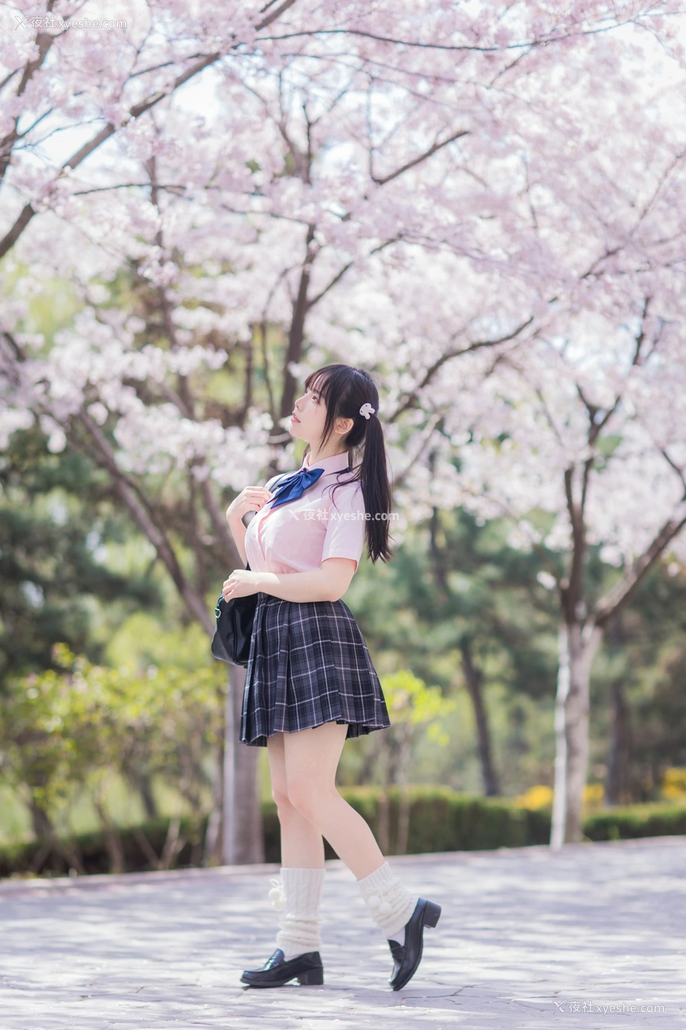 1P - 六味帝皇酱 – 樱花女友