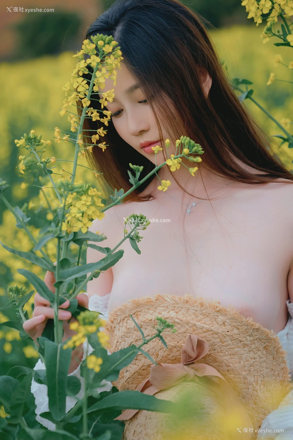 1P - 年年Nnian – 花野