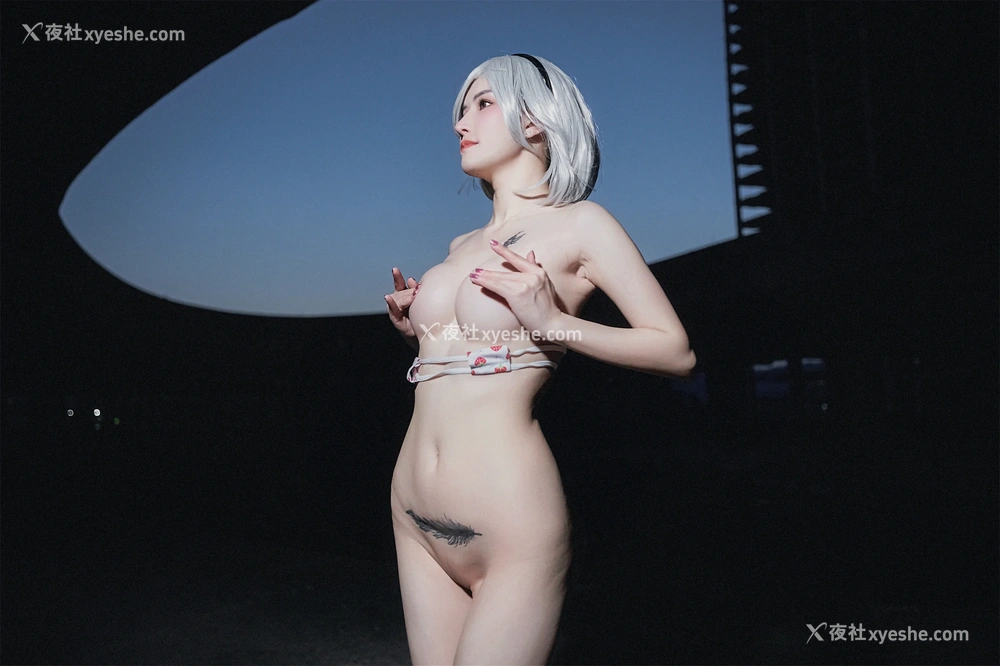 1P - 鹿八岁baby – 尼尔：机械纪元 2B废墟