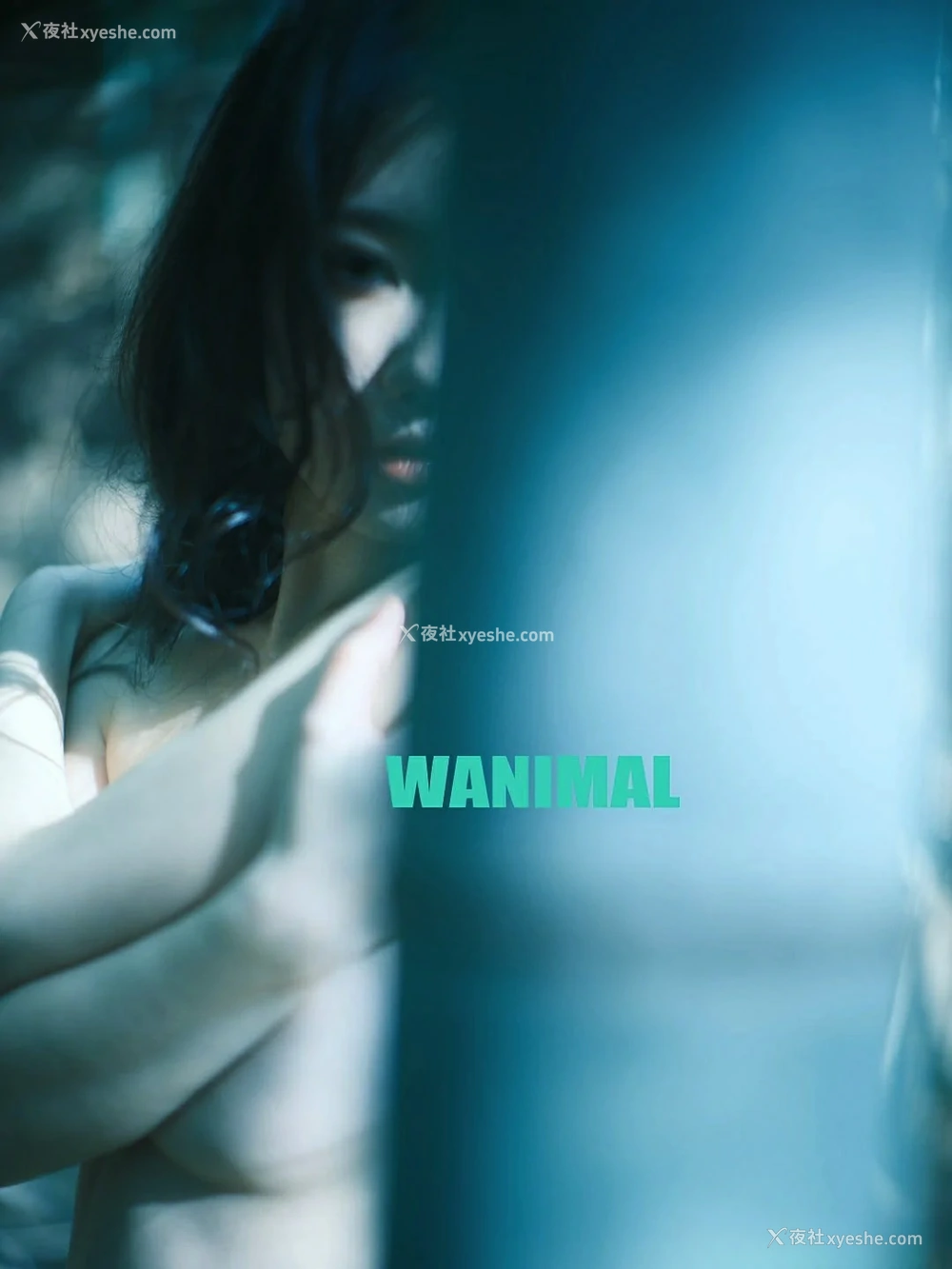 1P - WANIMAL与桃良阿宅的联动图片
