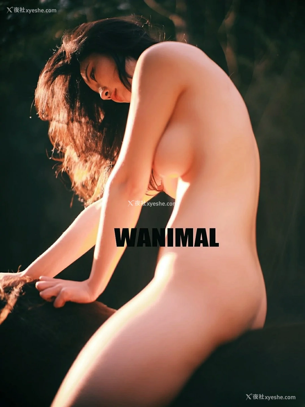 1P - WANIMAL与桃良阿宅的联动图片