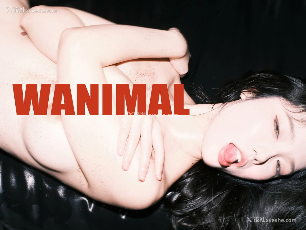 1P - WANIMAL与桃良阿宅的联动图片