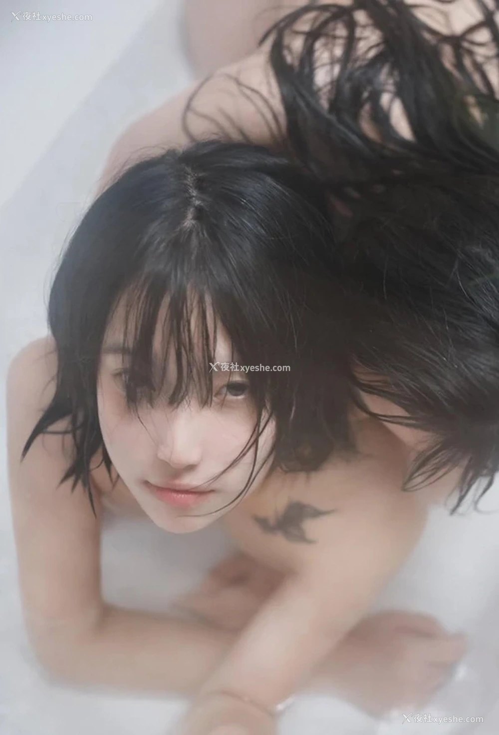 1P - 网络收集摄影师私拍无圣光美女2024图集8